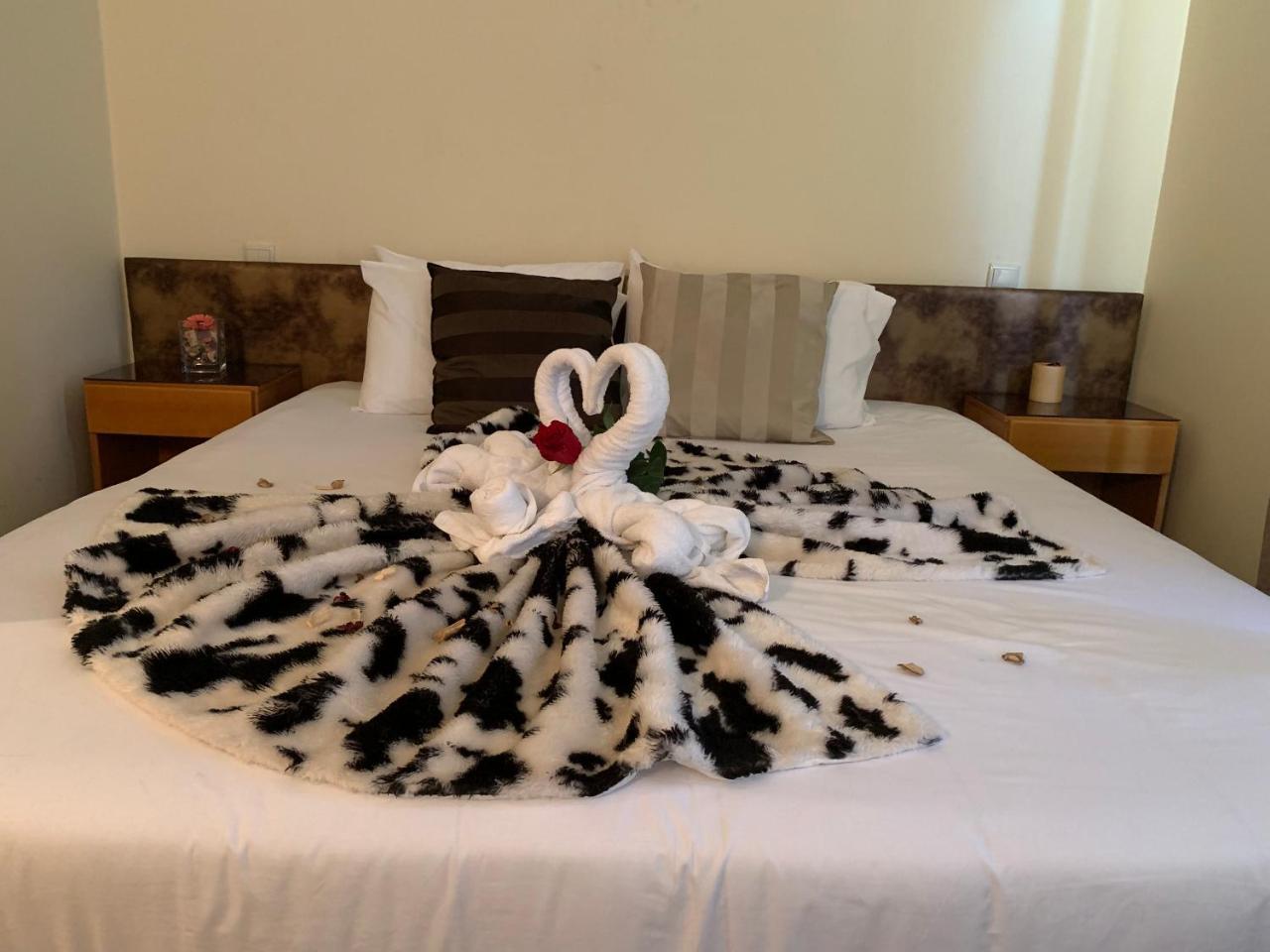 Fiel Chef Alojamento Local فالونغو المظهر الخارجي الصورة